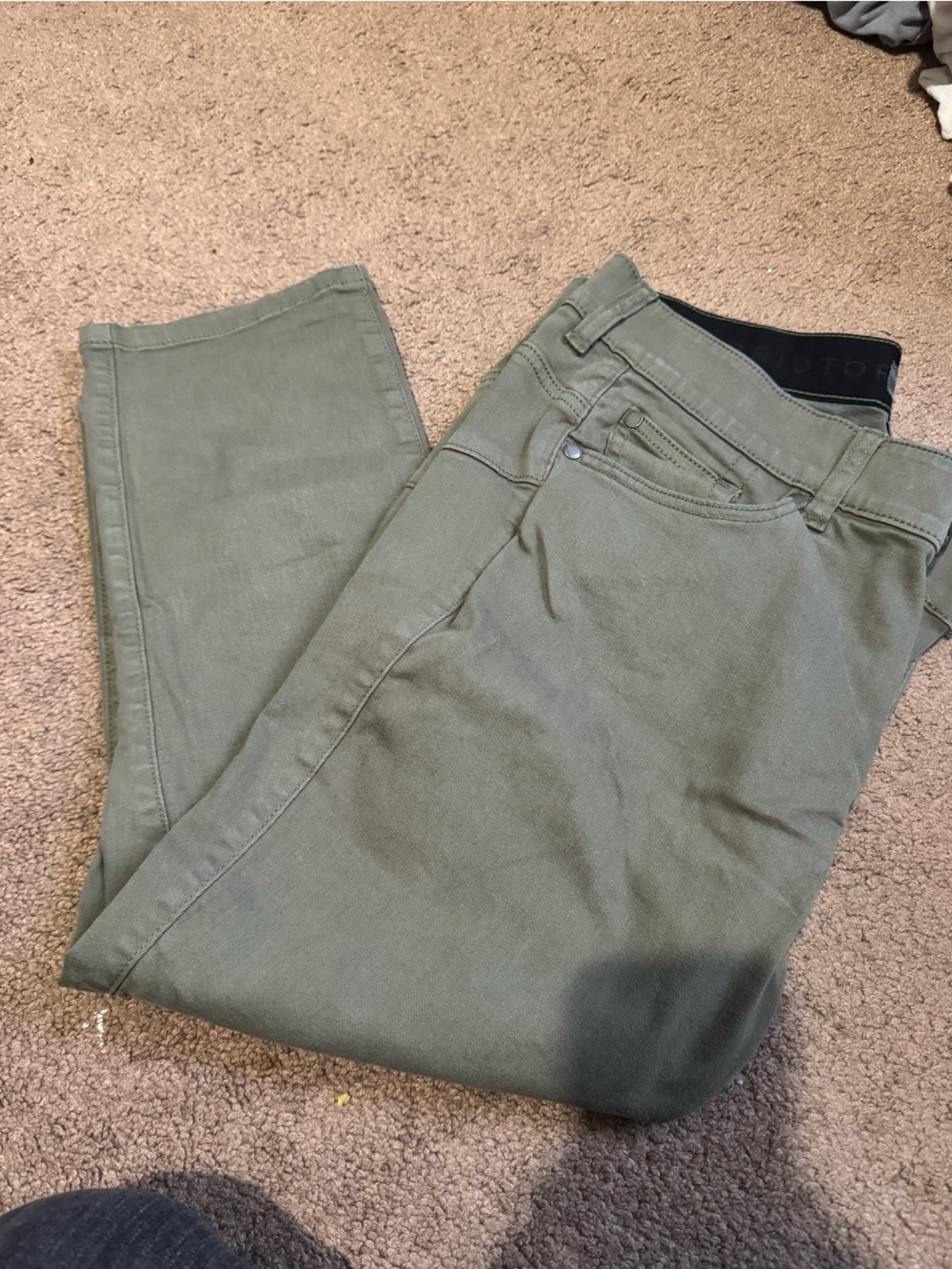 torrid Olive Green Cargo Pants for Men
